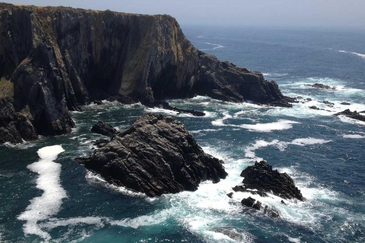 Omnis dolor qui quam aliquam mollitia